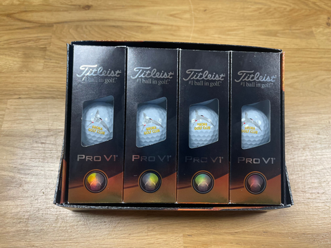 Titleist Pro V1 Logo Ball